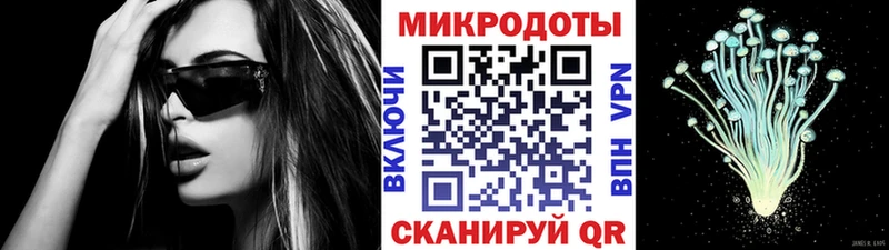 Псилоцибиновые грибы Psilocybine cubensis  Первомайск 