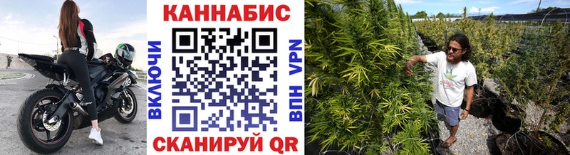 Шишки марихуана планчик  Первомайск 
